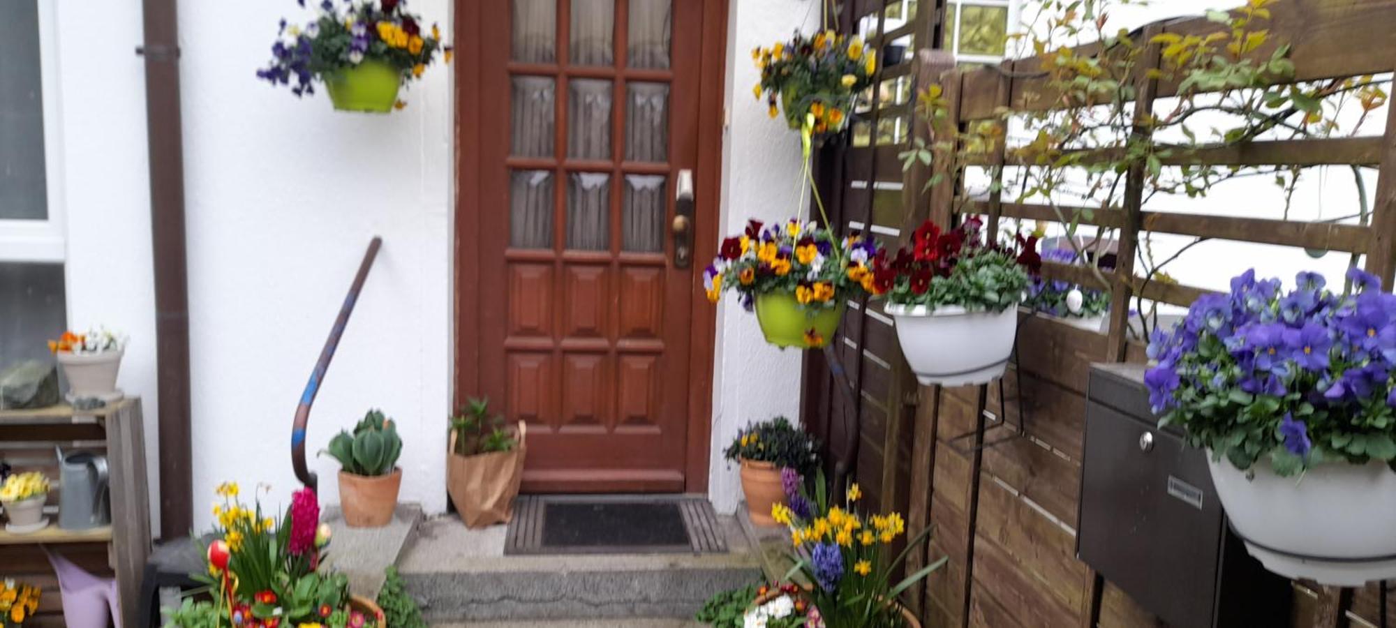 Pension Entenhausen Швентиненталь Экстерьер фото